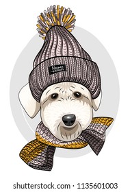 Vector dog with knitted hat and scarf. Hand drawn illustration of dressed dog.