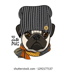 Vector dog with knitted hat and scarf. Hand drawn illustration of dressed pug.
