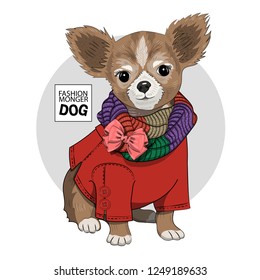 Vector dog with knitted scarf, bow and red dress. Hand drawn illustration of dressed terrier.