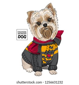 Vector dog with knitted scarf and knitted pullover. Hand drawn illustration of dressed dog.