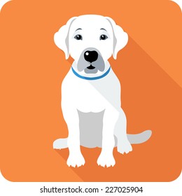 Vector dog Labrador Retriever sitting icon flat design 