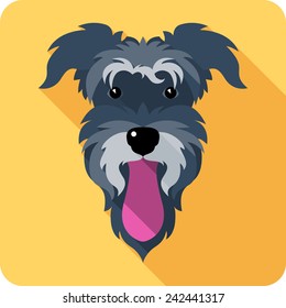 Vector dog Miniature Schnauzer breed icon flat design