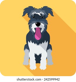 Vector dog Miniature Schnauzer breed icon flat design