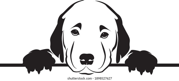 Vector de un perro en el fondo blanco. Mascota. Animal. Logo o icono del perro.  