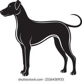 A vector dog on a white background