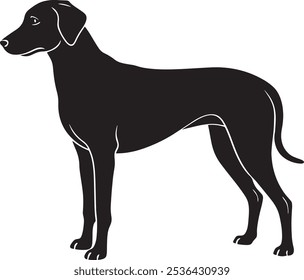 A vector dog on a white background