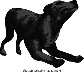 Vector  dog on a white background/Dog