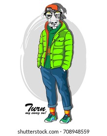 Vector dog with orange cap, and glasses. Hand drawn illustration of dressed dog