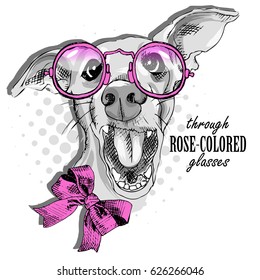 Vector dog with pink glasses. Hand drawn illustration of dressed dog. Optimist.