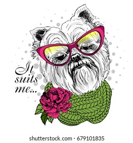 Vector dog with pink glasses, knitted green scarf and flower. Hand drawn illustration of dressed yorkshirterer 