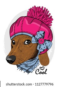 Vector dog with pink hat, ble bow and blue scarf. Hand drawn illustration of dressed dog.