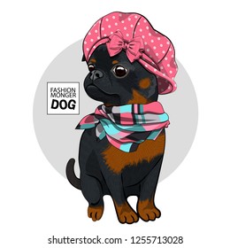 Vector dog with pink hat and checkered scarf. Hand drawn illustration of dressed brabancon.