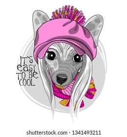 Vector dog with pink hat and knitted scarf. Hand drawn illustration of dressed Chinese Crested Dog. Vector illustration.