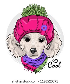 Vector dog with pink hat and scarf. Hand drawn illustration of dressed dog.