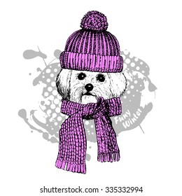 Vector dog in a pink hat and scarf.