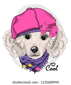 Vector dog with pink hat and violet scarf. Hand drawn illustration of dressed dog.