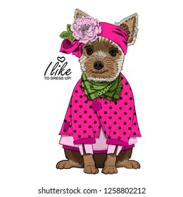 Vector dog with pink headscarf, pink flower, green scarf and blouse. Hand drawn illustration of dressed dog.