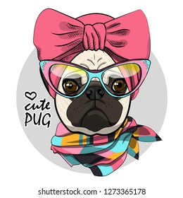 Vector dog with pink headscarf and glasses. Hand drawn illustration of dressed pug.