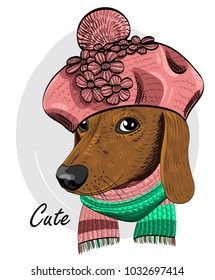 Vector dog with pink knitted beret and scarf. Hand drawn illustration of dressed dachshund.