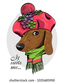 Vector dog with pink knitted beret and scarf. Hand drawn illustration of dressed dachshund.