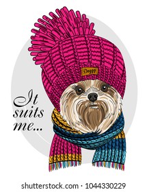 Vector dog with pink knitted hat and scarf. Hand drawn illustration of dressed dog.