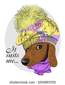 Vector dog with pink knitted hat and violet scarf. Hand drawn illustration of dressed dog.