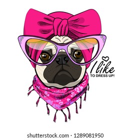 Vector dog with pink turban, glasses and scarf. Hand drawn illustration of dressed pug.