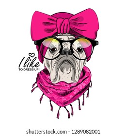 Vector dog with pink turban, scarf and glasses. Hand drawn illustration of dressed bulldog.