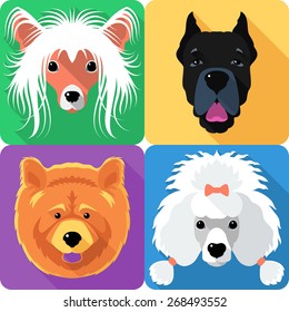 Vector dog Poodle, Chow-chow, Chinese Crested and Cane Corso  breed face icon flat design 