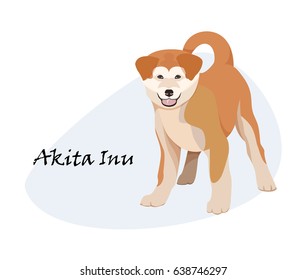 Vector. The dog, the puppy. The Akita Inu breed. Japanese dog. A small puppy painted in a flat style.