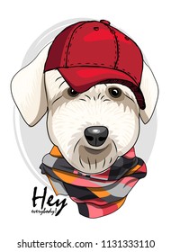 Vector dog with red cap and checkered  scarf. Hand drawn illustration of dressed dog.