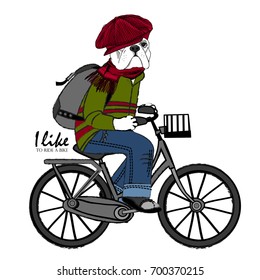 Vector dog with red cap, jeans and bike. Hand drawn illustration of dressed dog.