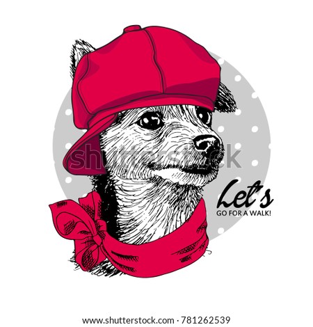 Vector dog with  red cap and scarf . Hand drawn illustration of dressed dog.