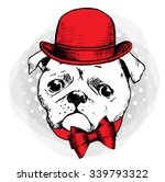 Vector dog in a red hat and red bow. Pug on grey background.
