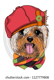 Vector dog with red hat and checkered scarf. Hand drawn illustration of dressed dog.