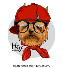 Vector dog with red hat, glasses and red scarf. Hand drawn illustration of dressed dog.