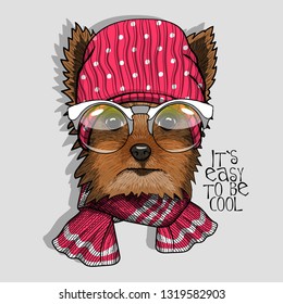 Vector dog with red hat, glasses and knitted scarf. Hand drawn illustration of dressed dog.