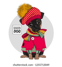 Vector dog with red hat, knitted scarf and red dress. Hand drawn illustration of dressed brabancon.