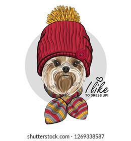 Vector dog with red hat and knitted scarf. Hand drawn illustration of dressed dog.