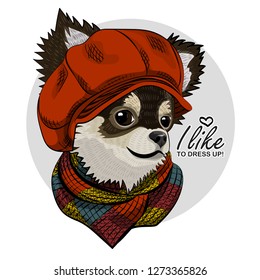 Vector dog with red hat and knitted scarf. Hand drawn illustration of dressed chihuahua.