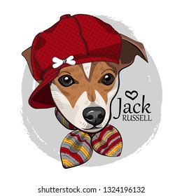 Vector dog with red hat and knitted scarf. Hand drawn illustration of dressed Jack Russell terrier. Vector illustration.
