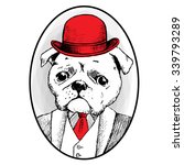 Vector dog in a red hat and red tie. Pug in tuxedo. Gentleman on grey background.