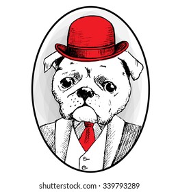 Vector dog in a red hat and red tie. Pug in tuxedo. Gentleman on grey background.