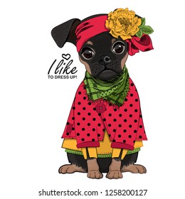 Vector dog with red headscarf, yellow flower, green scarf and dress. Hand drawn illustration of dressed brabancon.