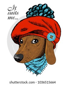 Vector dog with red knitted beret and scarf. Hand drawn illustration of dressed dachshund.