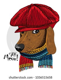 Vector dog with red knitted cap and scarf. Hand drawn illustration of dressed dachshund.