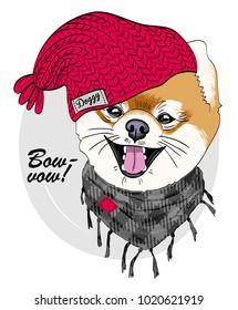 Vector dog with red knitted hat and scarf. Hand drawn illustration of dressed dog.