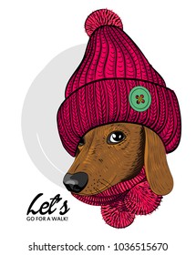 Vector dog with red knitted hat and scarf. Hand drawn illustration of dressed dachshund.