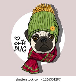 Vector dog with red knitted hat and red scarf. Hand drawn illustration of dressed pug.