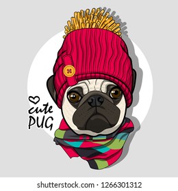 Vector dog with red knitted hat and scarf. Hand drawn illustration of dressed pug.